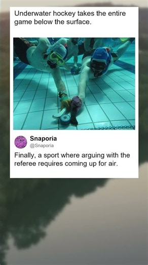 Underwater hockey takes the entire game below the surface.
