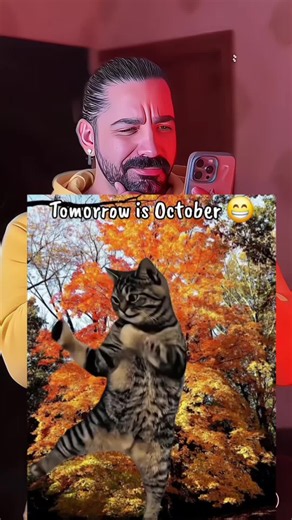 how to edit dancing cat green screen turn cat into dancing meme tutorial funny cat dancing on two legs ai how to make the cat dancing to venus video cat dancing to venus by bananarama dancing cat shes got it trend tutorial cat dancing shes got it capcut template tomorrow is october dancing cat capcut template welcome october funny cat trend tomorrow is october autumn cat meme tomorrow is october cat original video how to do the tomorrow is october cat trend #dancingcat #octobertrend #tomorrowiso