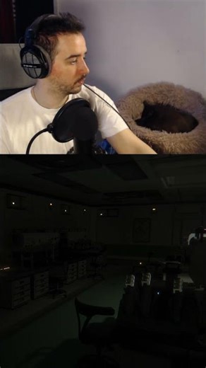 Game Not Even Loaded… And I’m Under Attack 🐱