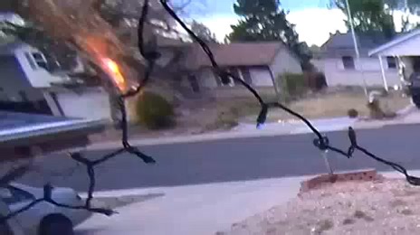 Tree explodes after being hit by lightning in Aurora