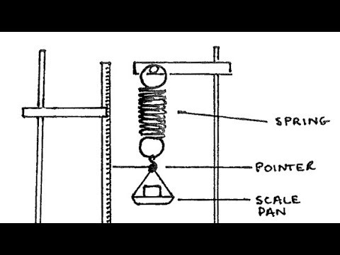 Oscillating Loaded Spiral Spring Practical Explained | University Physics Practical (SHM & Graphs)