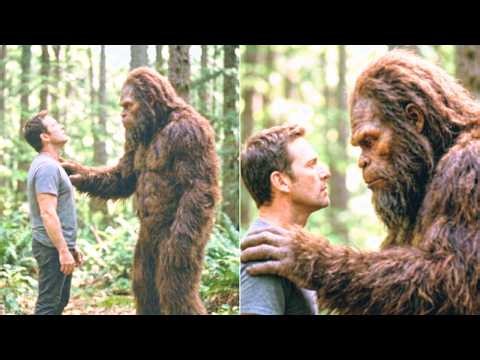 My Father Spent His Last Night in the Woods With a Bigfoot—We Found Him Dead, Covered in Wildflowers