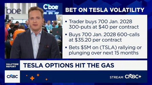 Options traders bet on Tesla volatility