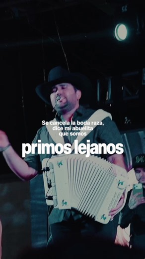 Primos lejanos ☹️ #loschavalitos #losfarmerz #musicanueva #elfeo #fyp
