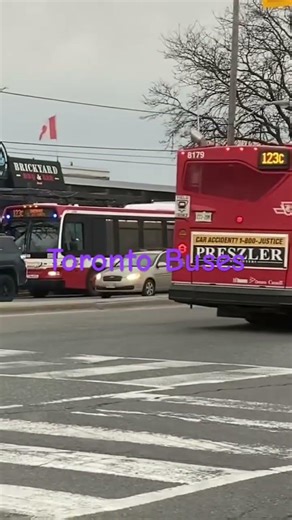 Toronto TTC Buses 3/25/2026