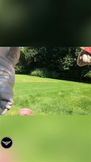 Surviving the Bees: A Close Call! #shorts
