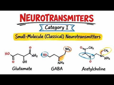 Small-Molecule (Classical) Neurotransmitters | Category 1