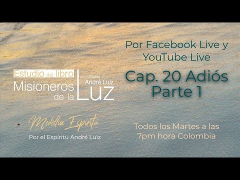 Cap. 20 Adiós Parte 1