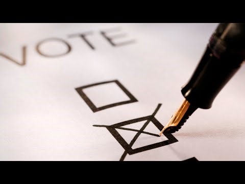 Surveys show young women ‘far more left wing’ in economic policies than men