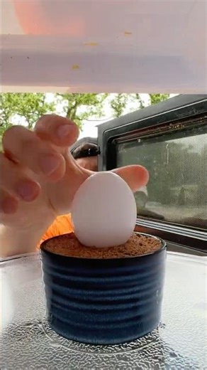 Exploding Egg in the Microwave
