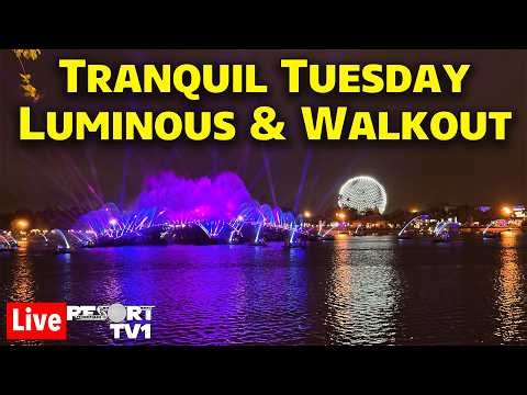 🔴Live: Tranquil Tuesday - Luminous Fireworks & Walkout - 9-22-26 - Walt Disney World
