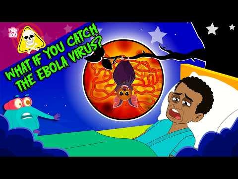 The Ebola Virus Explained | What Happens if You Get Ebola? | Symptoms, Spread And Risks | Dr. Binocs