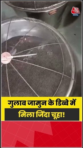 भिवंडी में गुलाब जामुन के डिब्बे में मिला जिंदा चूहा, खाद्य सुरक्षा पर उठे सवाल | #Bhiwandi