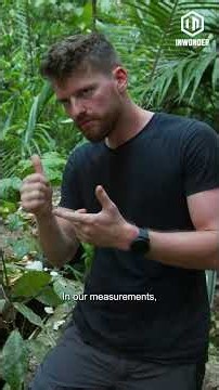 What a million fungal spores look like to the naked eye #TheAmazon #EarthsEternalWonders