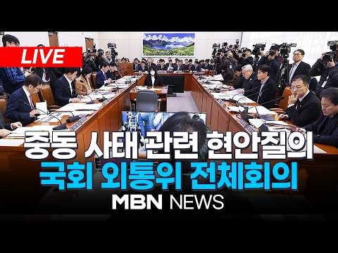 🔴[LIVE] '중동전쟁·남북기본계획·李대통령 SNS' 관련 현안질의 / 국회 외교통일위원회 전체회의 | MBN NEWS