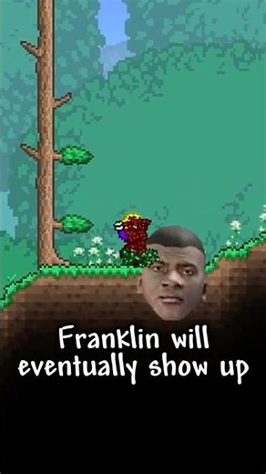 Did You Know About This SECRET BOSS in Terraria?