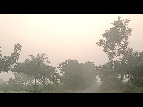 Indian Village Farmer is live