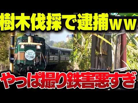 Toxic train spotter gets arrested for illegally chopping down trees along the tracks lol [Yukkuri...
