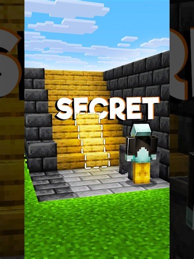 Minecraft Secret Stairs....🤯 (World's Smallest Violin) #minecraft #shorts
