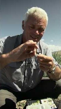 Jeremy Wade reels in his first fish in Mongolia! 🎣