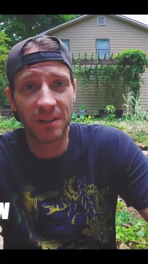 Discover How Fast Turtles Really Are