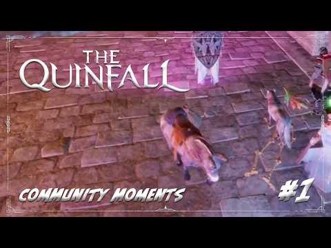 The Quinfall | Community Moments #1