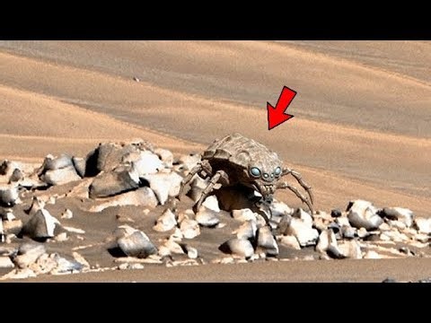 NASA Mars Perseverance Rover || Latest Photos Mars || Perseverance Rover Video Footage Of Mars 2026