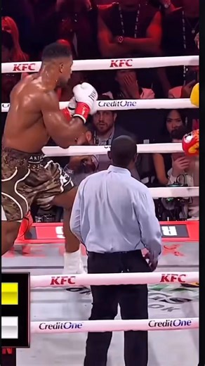 This training system is completely designed to teach you how to pressure any style fighter to break their will & stay defensively responsible to not get countered. You will learn boxing from a different standpoint leading with the dynamic principles first versus the skills. Fighters don’t fail because of skills, they fail due to lacking the ability to perform under duress which is fixed in this process. The Bible of boxing isn’t a temporary fix, it’s a generational fight asset. You must train th