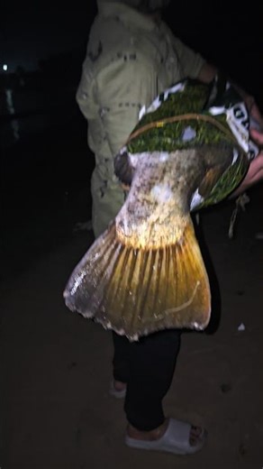 ​Unbelievable Barramundi Fight #Shorts #Fishing #Barramundi #Angling #lurefishing