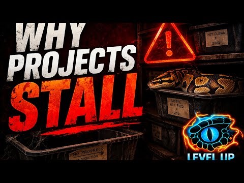 Why Ball Python Projects Stall