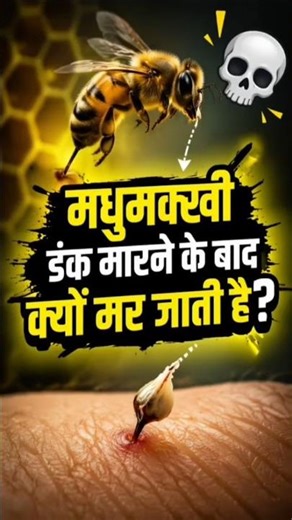 Why Do Bees Die After Stinging? 🐝😱 #Shorts #Facts #AmazingFacts #BeeFacts #HoneyBee #factohector