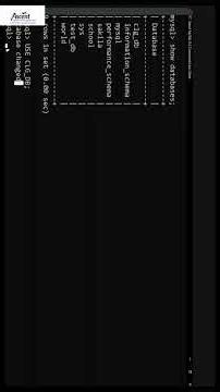 SQL Tutorial Series – Creating Your First Table in SQL!