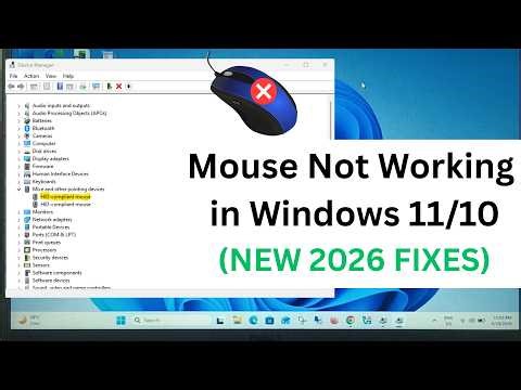 How to Fix Mouse is Not Working In Windows 11/10 (✅New 2026 Fixes)