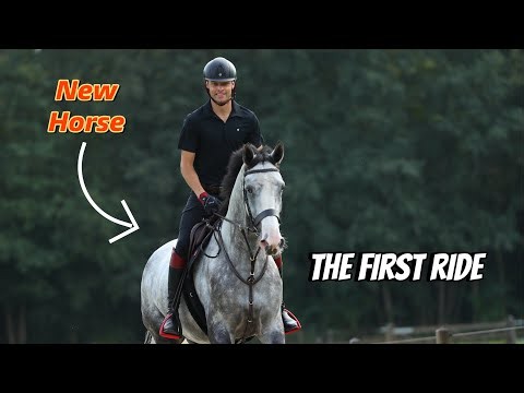 The First Ride on My NEW 4-Year-Old Hunting Horse!