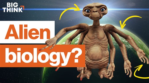 The biology of aliens: How much do we know?