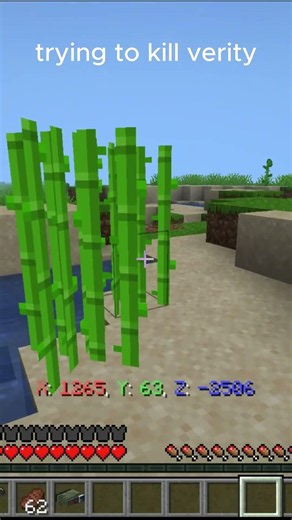 trying to kill verity in minecraft #verity #horror #minecraft #minecrafthorror #mcyt #minecraftmemes
