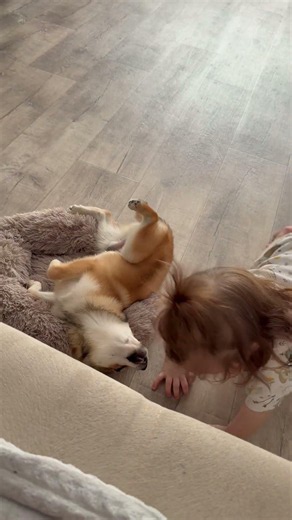 Toddler and Puppy Cuddle Together on the Floor