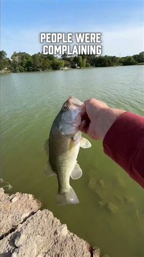 Big bass fishing spot in Ennis, Texas! #fishing