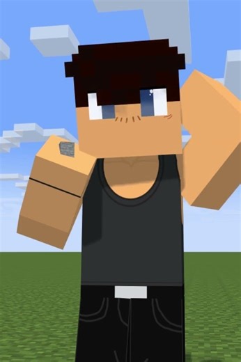 Footage of Me Explaining Chisel abd Bits Mod #minecraft #memes #minecraftanimation