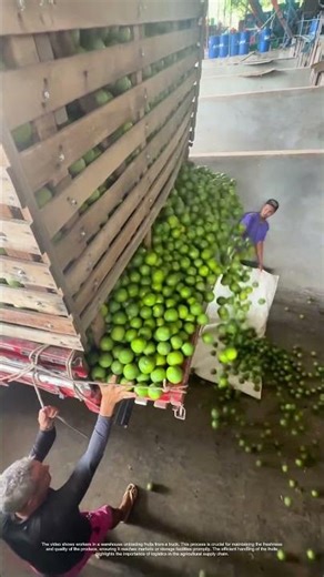 Unloading the Harvest: How Efficiency Meets Freshness in Warehouse Operations