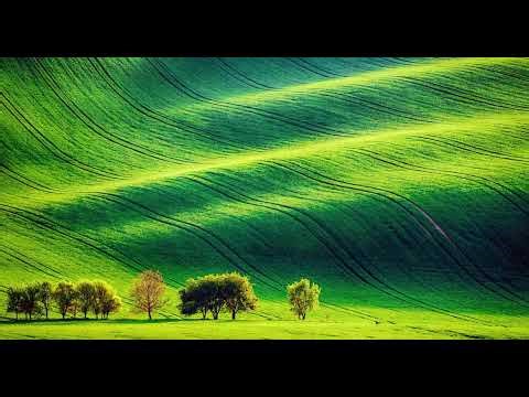 Simplifying Meshed VPN Community Creation with an Interactive Bash