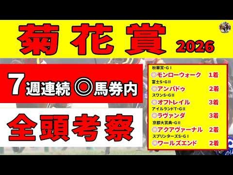 【菊花賞2026】７週連続◎馬券内で絶好調！ロブチェンの３冠を占う全頭考察と絶対に買いたい推奨３頭をご紹介します!!