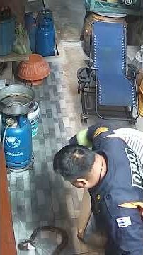 Pet Owner Wrestles Python With Bare Hands to Save Family Cat #shorts