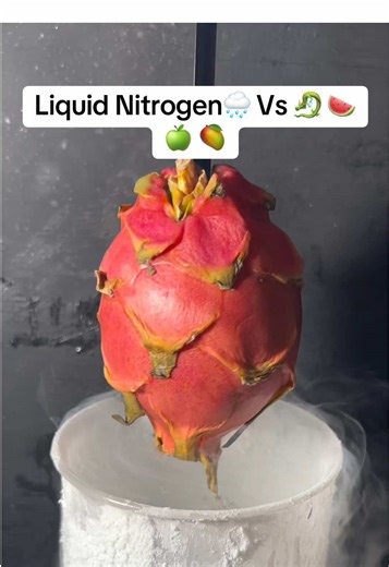 Liquid Nitrogen Experiment: Satisfying Reactions Explained