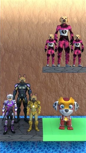 A mindless dance between dogs #cute #funny #shots