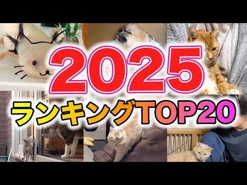 【20選】2025ランキング｜PECO