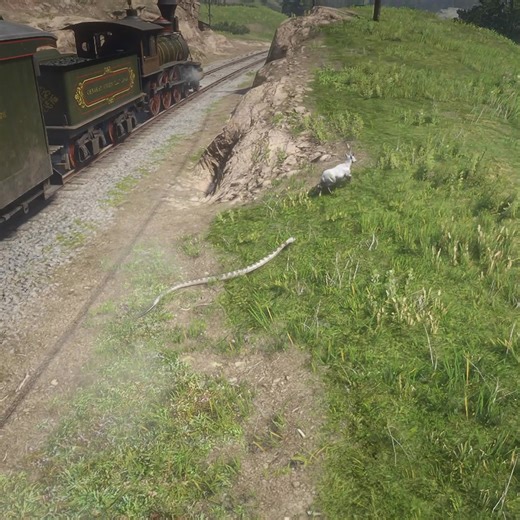 White Buck impossible escape from Snake | Indian Gamer DT