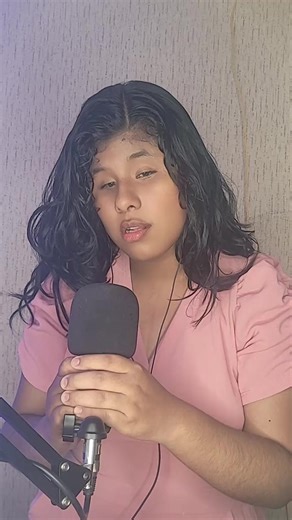 Cover de 'Si Una Vez Dije Que Te Amaba' de Selena