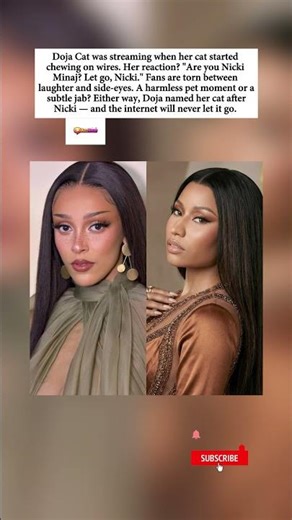 Doja Cat Calls Her Cat "Nicki Minaj" During Stream — Fans Lose It