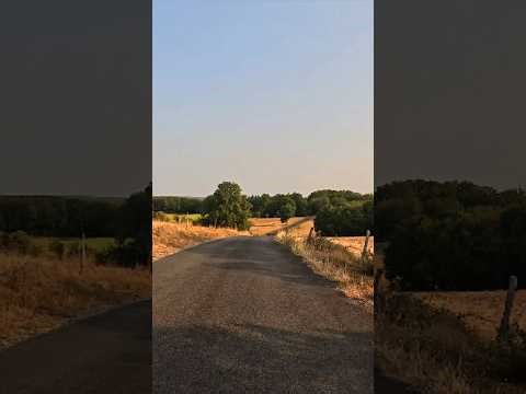 Vertical POV Cycling – Forest & Countryside Ride in Nouvelle-Aquitaine (France)